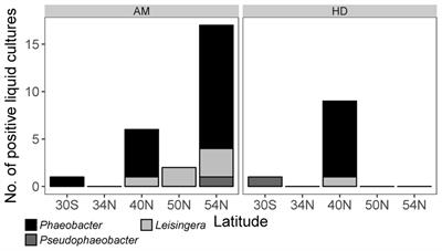 Adaptation of Surface-Associated Bacteria to the Open Ocean: A Genomically Distinct Subpopulation of Phaeobacter gallaeciensis Colonizes Pacific Mesozooplankton